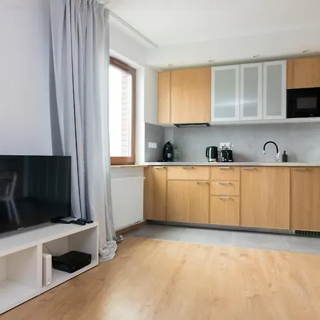 Apartment Old Praga Cosy Studio *