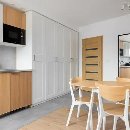Old Praga Cosy Studio Apartment